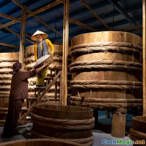 Fermented Fish Sauce Foundations Across Southeast Asia