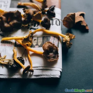 Wild Mushrooms in Traditional Baltic Autumn Recipes