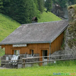 A Guide to Andorran Cheeses and Their Unique Flavors