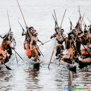 Celebratory Feasts and Taro Rituals in Papuan Villages