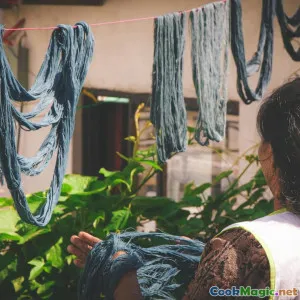 Cider Brewing Trends in Rural Luxembourg