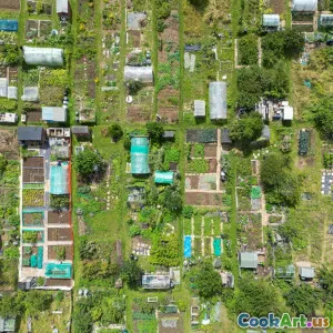 Gemeinschaftsgärten: Gemeinsam wachsen