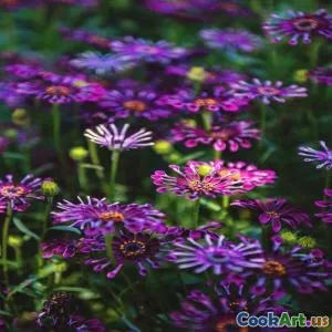 Küchen in Harmonie: Die Symphonie der Aromen