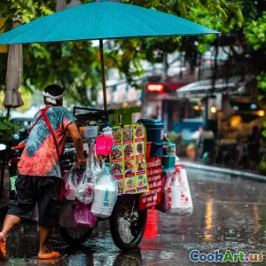 Разнообразные блюда с уличных лотков