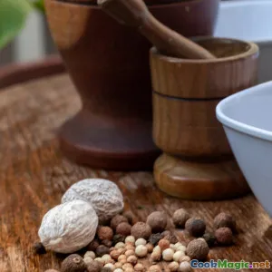 Essential Macedonian Spices for Every Home Pantry