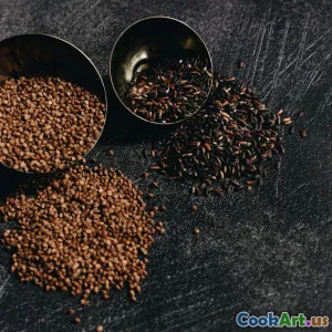 Découvrir les Grains Anciens