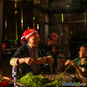 Odkrywanie Rodzimych Składników