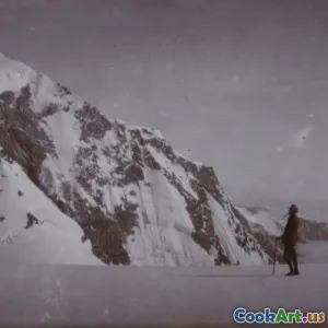 探索营养酵母的益处