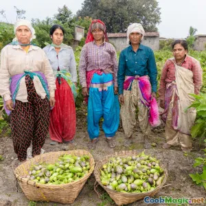 Farm to Table Markets in New Caledonian Cities