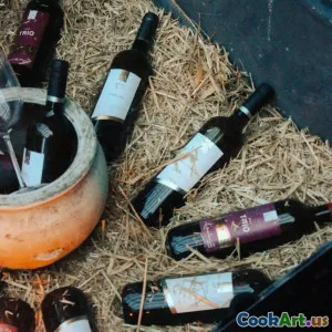 Fermentacja: Rewolucja Kulinarna