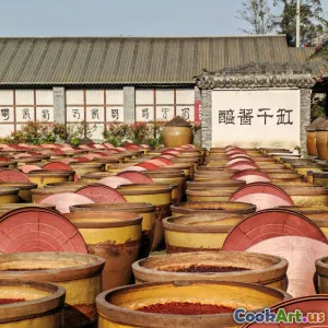 Xu hướng Lên Men: Kỹ thuật Cổ xưa Được Khơi Dậy