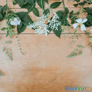 Sabores florales en la mixología