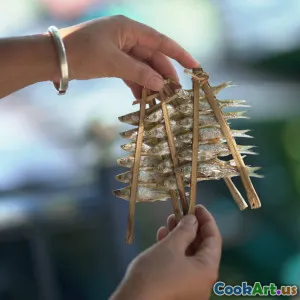 Bảo Quản Thực Phẩm Bằng Vật Liệu Tự Nhiên