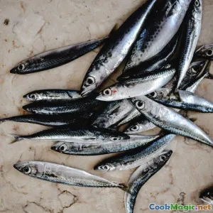 From Sea to Table Modern Antigua Seafood Practices