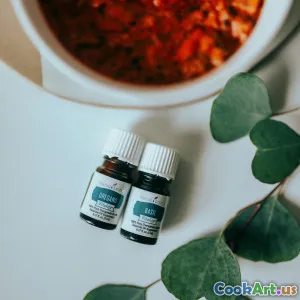 现代调酒术中的香草和香料