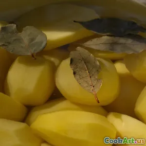 허브와 향신료: 자연의 맛 증진제