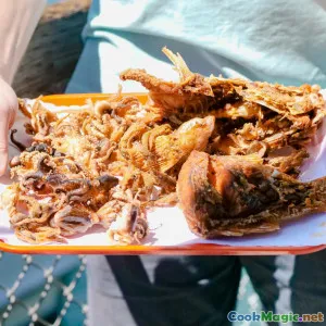 How to Perfect Dalmatian Style Grilled Fish