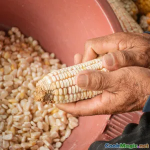 Indigenous Grains Reviving African Culinary Traditions