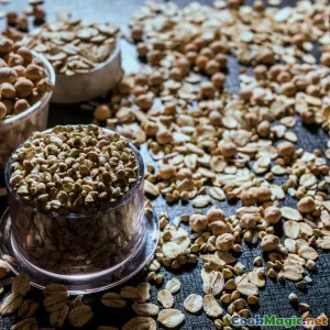 Legume Myths Debunked in Vegetarian Cooking