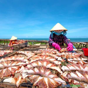 Local Seafood and Its Influence on Dining Culture