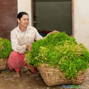 Locally Grown Vegetables That Define Kosovar Meals