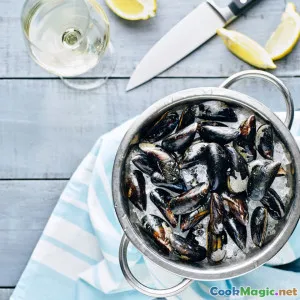 Navigating the Origins of New England Clam Chowder