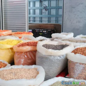 Nguyên Liệu Hữu Cơ Trong Ẩm Thực Hiện Đại