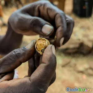 Agricultura de Precisão: A Nova Norma