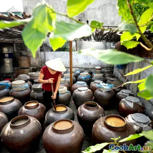 Kỹ Thuật Bảo Quản Thực Phẩm Từ Các Nền Văn Hóa Khác Nhau Trên Thế Giới