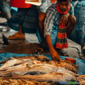 Regional Variations in Bangladeshi Fish Curry Recipes