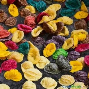 Savoring Italy: A Culinary Journey