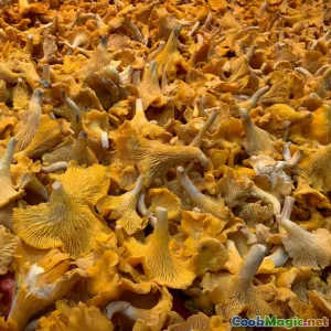 Saisonale schwedische Zutaten