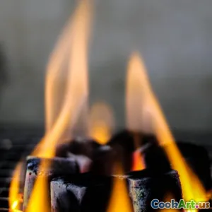 Conseils Essentiels pour Réussir la Grillade