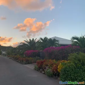 Street Foods Unique to Antigua and Barbuda