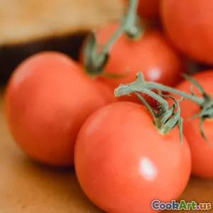 Zrównoważone odżywianie na każdą porę roku