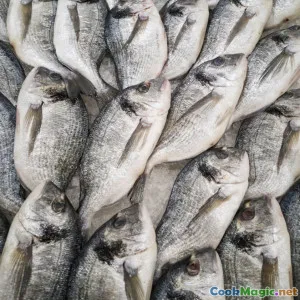 Sustainable Fishing Practices Influencing Maltese Menus
