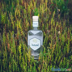 Pratiche di mixologia sostenibile