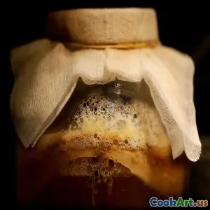 不同文化中的发酵艺术