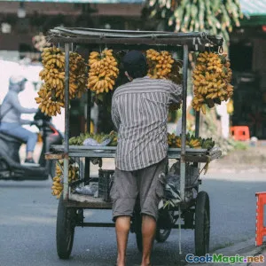 The Economic Impact of Food Carts in New York