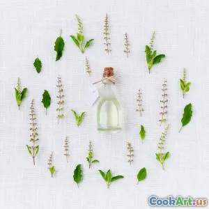 The Essential Guide to Spices and Herbs