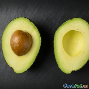 L&#39;impatto dei macronutrienti sull&#39;umore