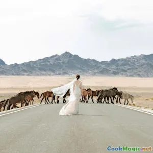 The Influence of Nature on Mongolian Cooking