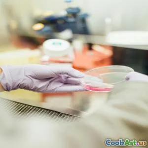 완벽하게 흔들린 칵테일의 과학