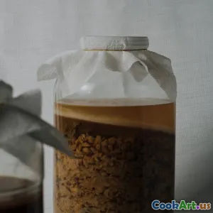 Nauka fermentacji w gotowaniu