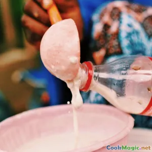 Understanding Kumis Traditional Kyrgyz Fermented Beverage