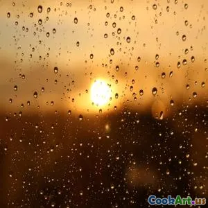 बेहतर स्वास्थ्य के लिए मैक्रोन्यूट्रिएंट्स को समझना