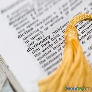 Comprendere i macronutrienti per una salute ottimale