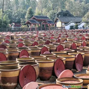 Understanding the Roots of Jerk Chicken