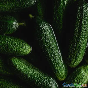 Techniki Przechowywania Warzyw według Pory Roku